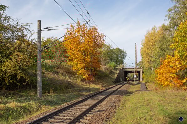 Blick vom Tunnelweg entlang der Verbindungskurve zum Berliner Außenring, Oktober 2020. Das Gleis wird hier vom Überwerfungsbauwerk der S-Bahn gekreuzt, welche hierüber ihren Weg nach rechts weiter in Richtung Mahlow fortsetzt.