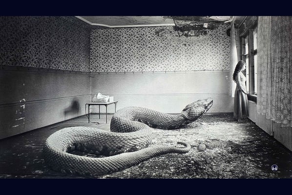 Ausstellung "Contract of Fiction" in der Galerie P 61. Motiv: SAEED REZVANIAN / IRAN