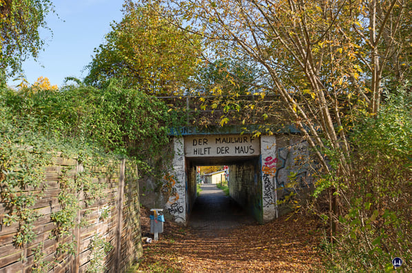 Blick von der Erich-Klausener-Straße in Richtung des Fußgängertunnels unter der  S-Bahn am 25. Oktober 2020. Kinder der benachbarten Schulen haben die trostlose Unterführung mit Zeichnungen aus der "Sendung mit der Maus" versehen.