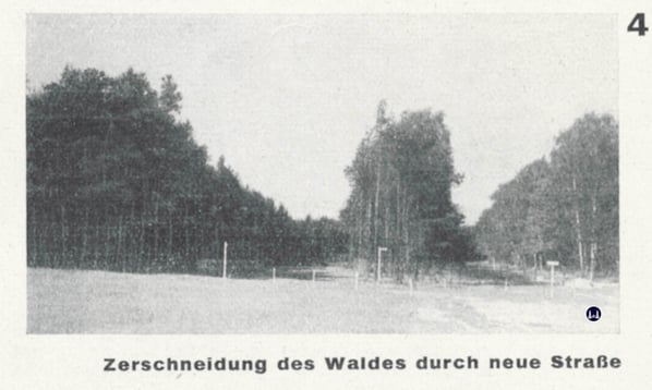 Zerschneidung eines Waldstücks für eine neue Straße in Blankenfelde, 1931