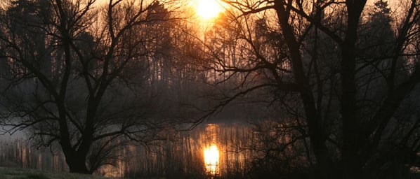 Foto: Mike Stöckli, http://www.bellacherweiher.ch/