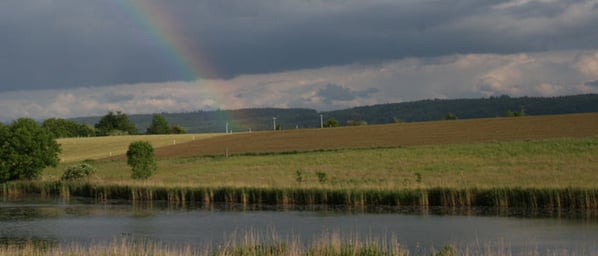 Fotos: Mike Stöckli, http://www.bellacherweiher.ch/