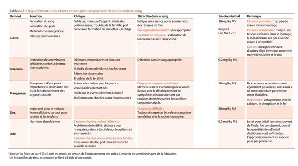 Nos produits apportent aux animaux les nutriments essentiels dont ils ont besoin et contribuent à prévenir les carences.