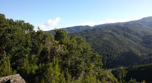 Blick auf den Parque Nacional de Garajonay auf La Gomera