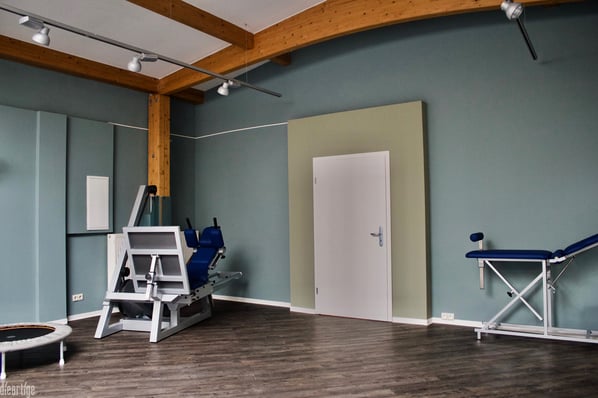 dieartige - Physiopraxis, Sportraum, Farrow & Ball Farben