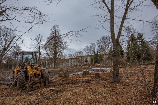 Die Kuranstalt Berolinum an der Lankwitzer Leonorenstraße. Der Kurpark nach den Baumfällungen,
