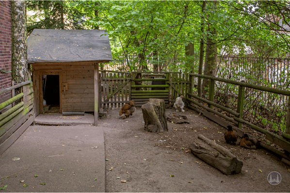 Privates Museum für Tierkunde Berlin. Gehege am Eingang