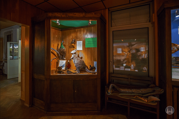 Privates Museum für Tierkunde Berlin. Tierische Einwanderer