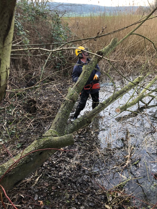 Arbeiter mit Kettensäge steht im Teich und zerlegt die Weide