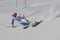 2010 Riesenslalom; Federica Brignone (I)