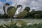 Kultur aller Art wird in Buenos Aires gross geschrieben. Immwer wieder werden auch neue Kunstwerke errichtet ... wie hier vor einigen Jahren die Floralis Generica.