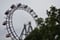 Prater - das Riesenrad