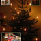 24.12.2009: Weihnachten in Familie unter einem wunderschönen Tannenbaum und natürlich auch mit Weihnachtsgans am 25.12.2009