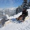 Schlittenweg auf der Mörlialp mit Panoramablick