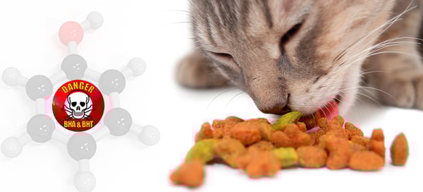 conservantes piensos perros gatos