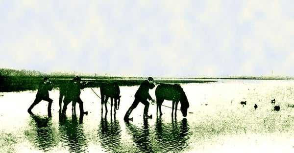 orthe, inondation, peyrehorade, landes, aquitaine, peche, lamproie, pyrenees, gave, arthous, adour, sorde, barthes, radelage, alose, saumon, port de lanne, couralin, hastingues,  tilhole, galupe