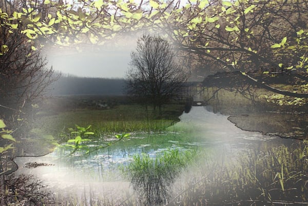 orthe, inondation, peyrehorade, landes, aquitaine, peche, lamproie, pyrenees, gave, arthous, adour, sorde, barthes, radelage, alose, saumon, port de lanne, couralin, hastingues,  tilhole, galupe