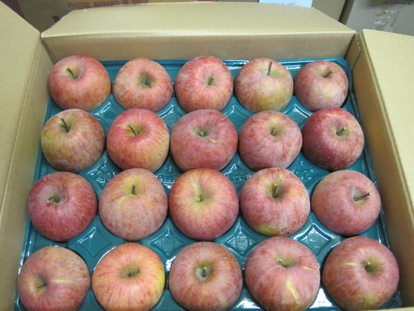 ペレットストーブ,サンつがる,りんご,リンゴ