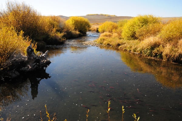 Strawberry Lake, Utah