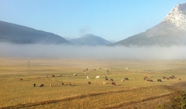 Village de Caille dans les brumes matinales