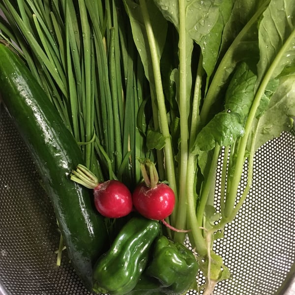 news設計室　建築家　半農半建　農作業　野菜づくり　松本市　安曇野市