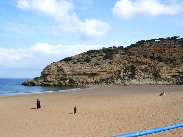 Doc. Monique Ragetly  -  Camerata 2007