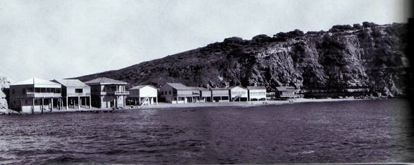 Doc. J.P. Vicente - Cliquer sur la photo pour l'agrandir.