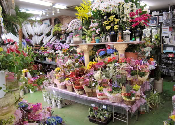 　　　　お店は季節のお花でいっぱいです