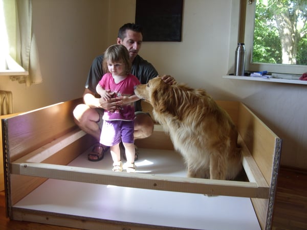 Wurfkisteninspektion