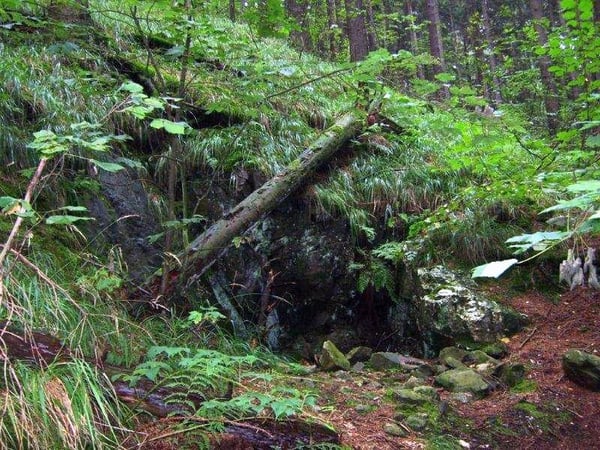 Blick zum verschütteten Stollenmundloch 