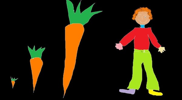 carote e funghi e chi li ha raccolti