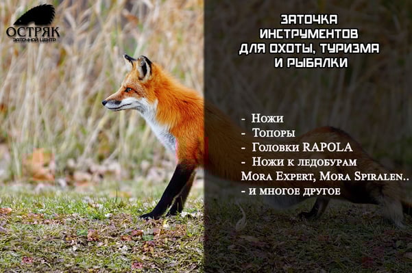 Заточка инструментов для охоты, туризма и рыбалки