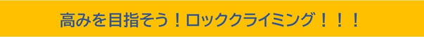 高みを目指そう　ツリークライミング