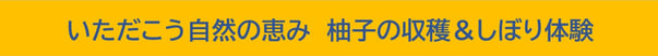いただこう自然の恵み　柚子の収穫＆しぼり体験