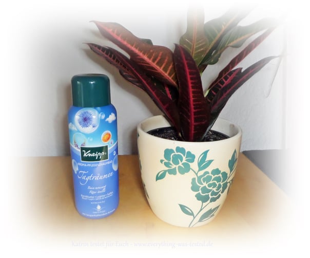 Lass Deine Gedanken schweifen mit dem Kneipp® Aroma-Pflegeschaumbad Tagträumen.