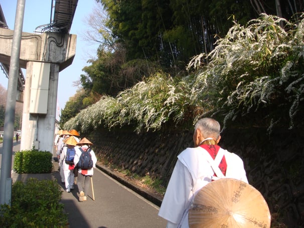 大阪モノレールと雪柳