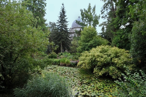 Jardin botanique de l'Université de Strasbourg          (Photo Alain Tessier)