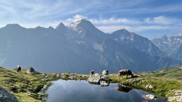 Bergsee im Windgällengebiet, Kanton Uri, Schweiz, natürlichen Frequenzen, Potenzialentwicklung, Naturcoaching
