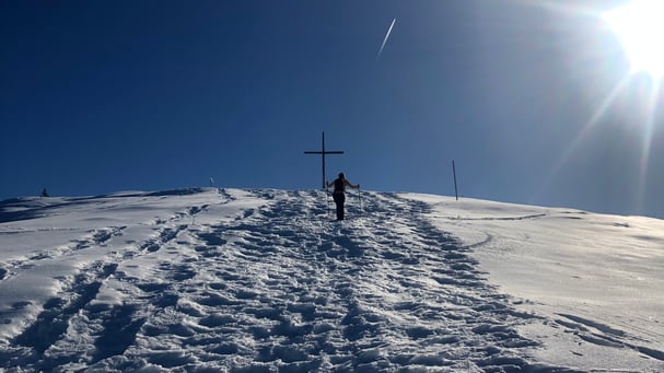 Naturcoaching mit Winter