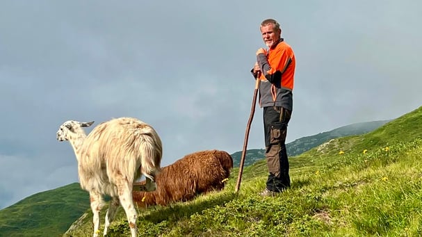 Hebamme der Prozesse im Naturcoaching