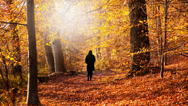 Spaziergänge zur Selbstreflexion
