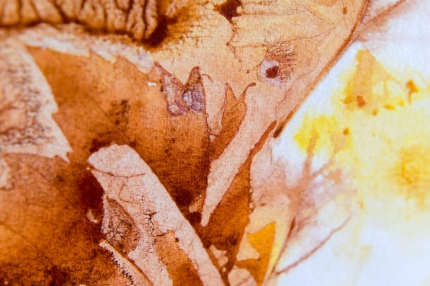 Bild von E.H., Ausschnitt 