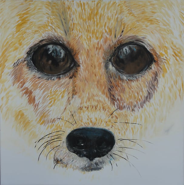 Lis: Kleiner Fuchs im Rosengarten, Leinwandbild 60 x 60 cm 
