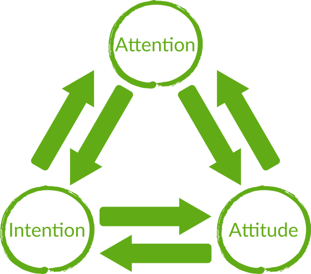 By: Olle Claesson. The three components of mindfulness. 