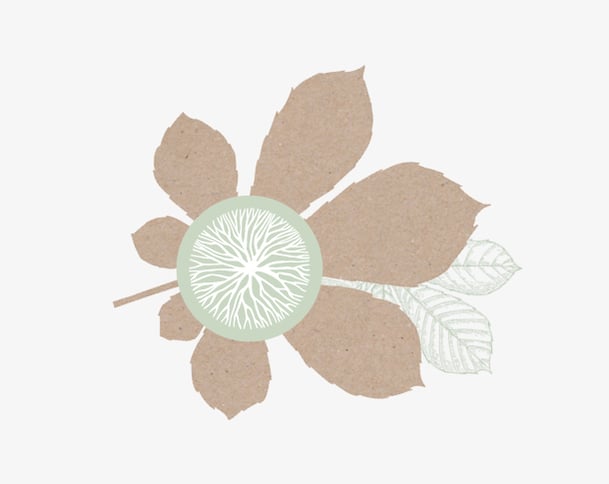 baumkreis-kastanie-keltisches-baumhoroskop