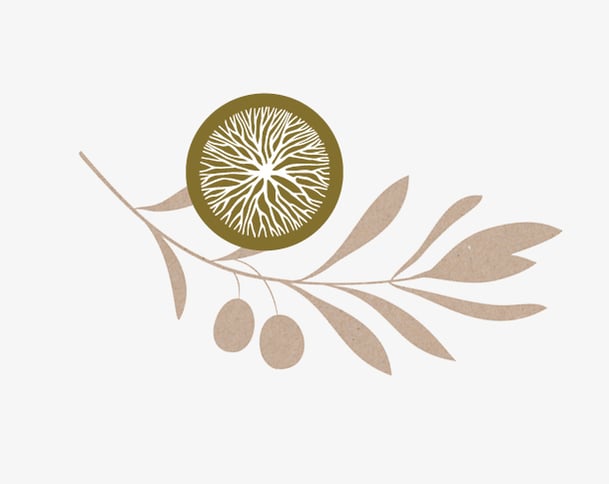 baumkreis-olivenbaum-keltisches-baumhoroskop