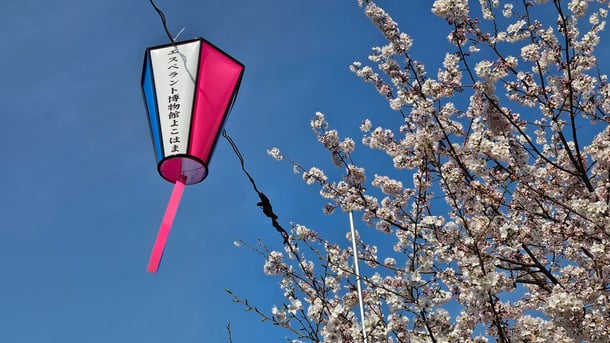 大岡川沿いの「みなみ桜まつり」にて(本会では2025年のぼんぼり点灯に協賛いたしました)