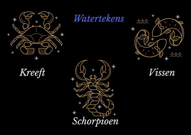 Watertekens sterrenbeeld en relaties. De relatie expert legt het uit. Kim Kromwijk-Lub Relatietherapeut
