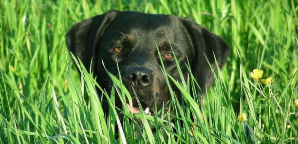 wandahoffi2020s Webseite!