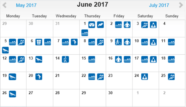 freaky routine, tägliche Übungen, Projekt 100, runtastic, Statistik Juni 2017